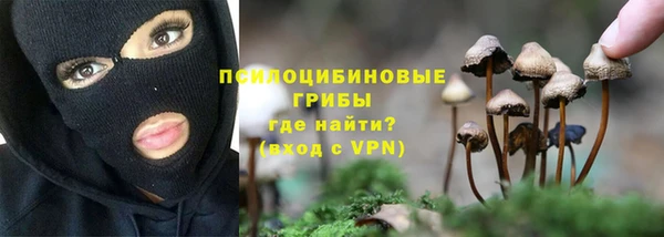 трава Сатка