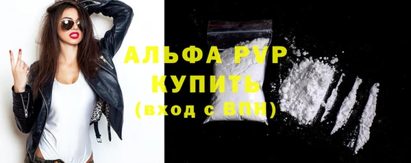трава Сатка