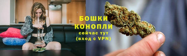 марки lsd Белокуриха