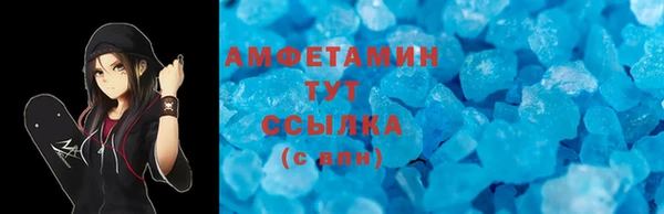 метадон Богданович