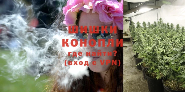 метадон Богданович