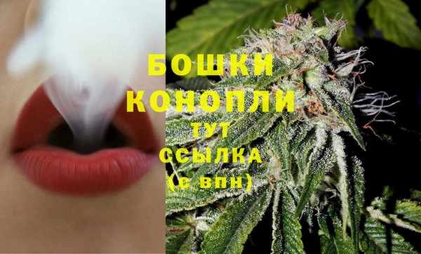 метадон Богданович