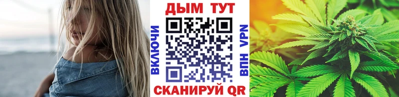 купить закладку  Верхняя Пышма  дарк нет как зайти  МАРИХУАНА Amnesia 